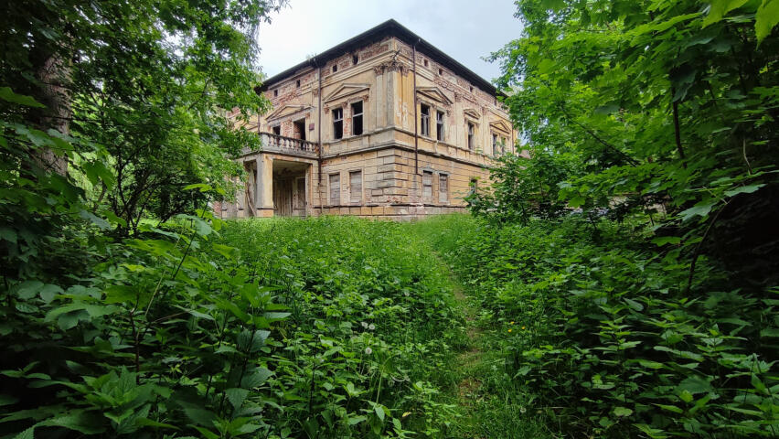 Pałac  w Żuklinie  - zabytek - działka  ok. 5 ha